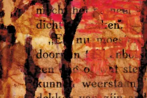 Afbeelding #3: Herfstavond