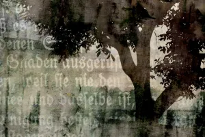 Afbeelding #4: De boom en het kerkje