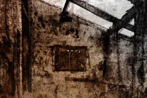 Afbeelding #2: The abandoned house