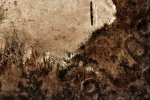 Afbeelding #3: The abandoned house