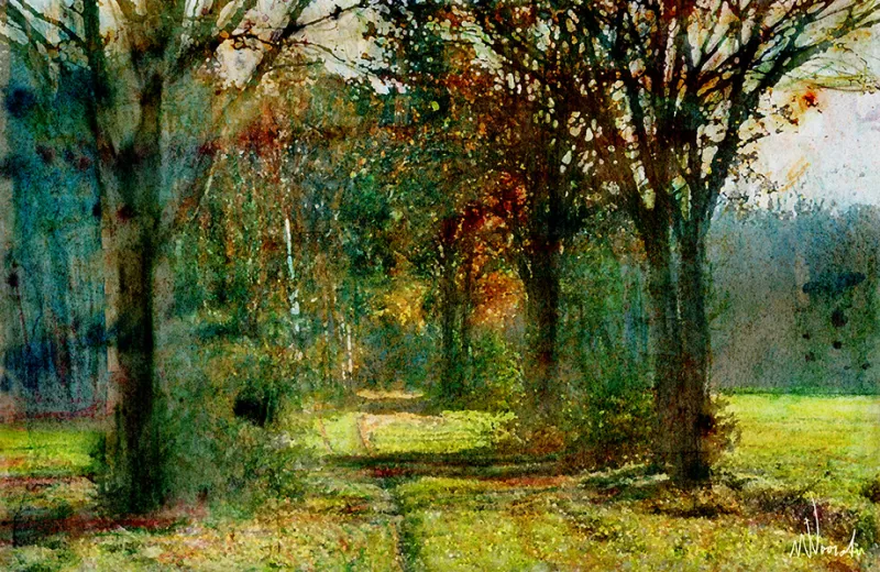 padnaarhetbos-1.jpg