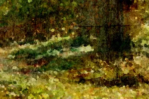 Afbeelding #3: Pad naar het bos