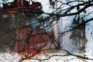 Afbeelding #3: Wintergloed
