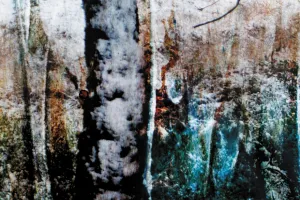 Afbeelding #4: Wintergloed
