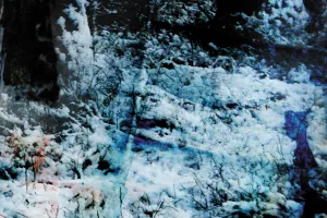 Afbeelding #5: Wintergloed