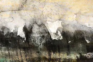 Afbeelding #2: De bosrand