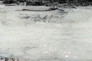 Afbeelding #2: Glinstering op het water