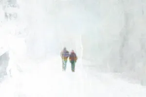 Afbeelding #2: Winterwandeling