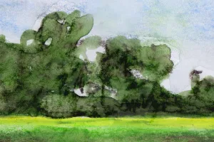 Afbeelding #3: Zeeuws landschap