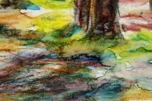 Afbeelding #2: Zonlicht in het bos