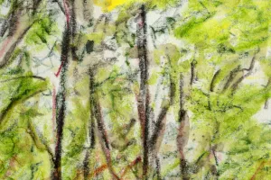 Afbeelding #3: Zonlicht in het bos