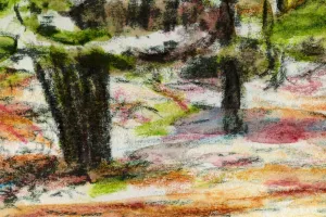 Afbeelding #4: Zonlicht in het bos