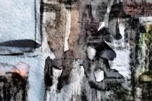 Afbeelding #2: A glimpse in Lesaka