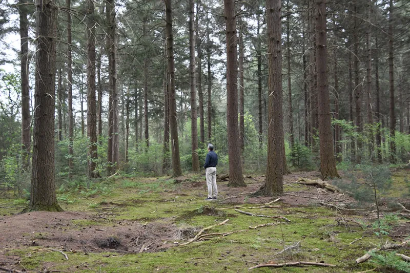 wim-noordam-natuur-landschap.jpg